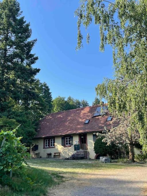 Rebhaus Durbach Villa Luaran gambar