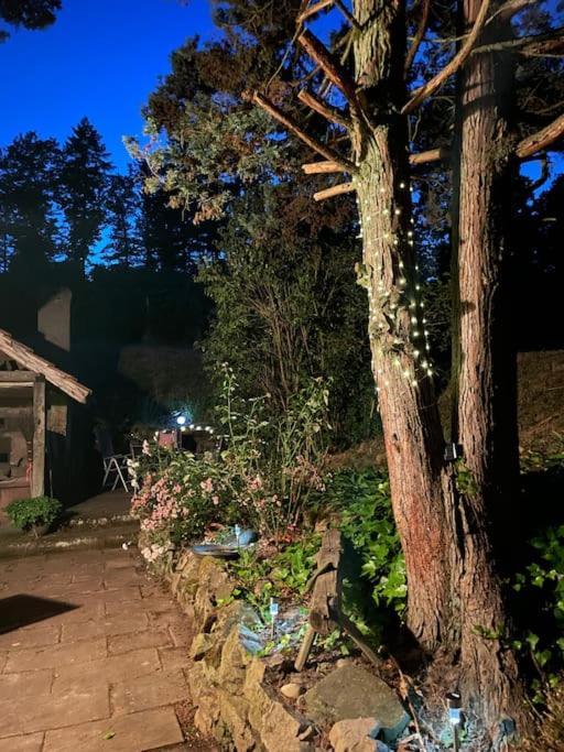 Rebhaus Durbach Villa Luaran gambar